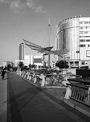 扎鲁特公司注册