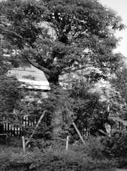 扎鲁特注册公司